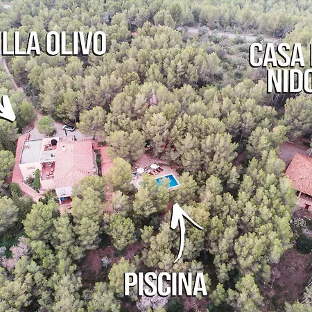 Aldeamia, Cozy For 8 People, Pool, Mountain View, At 8 Min Villa